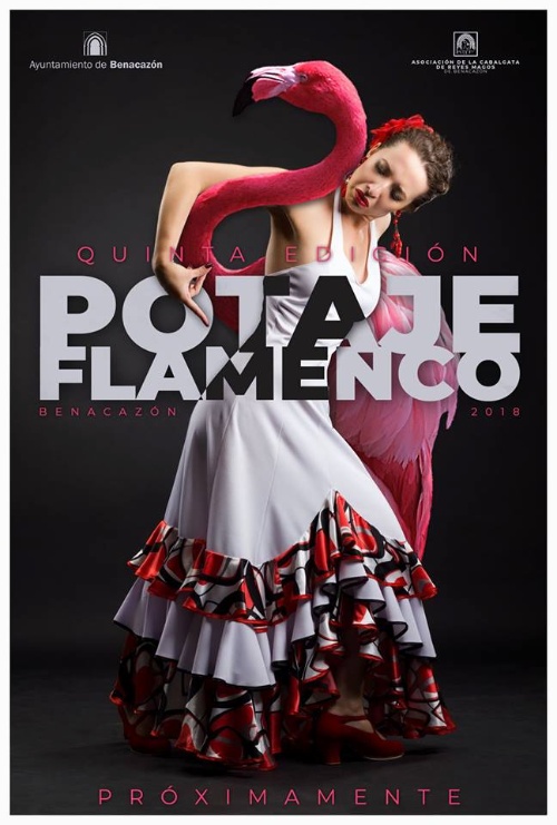 Cultura_Potaje Flamenco 2018