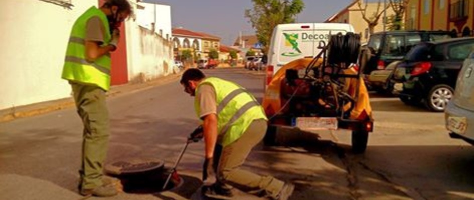 Medio_Ambiente_Trabajos_Desinsectacixn.jpg