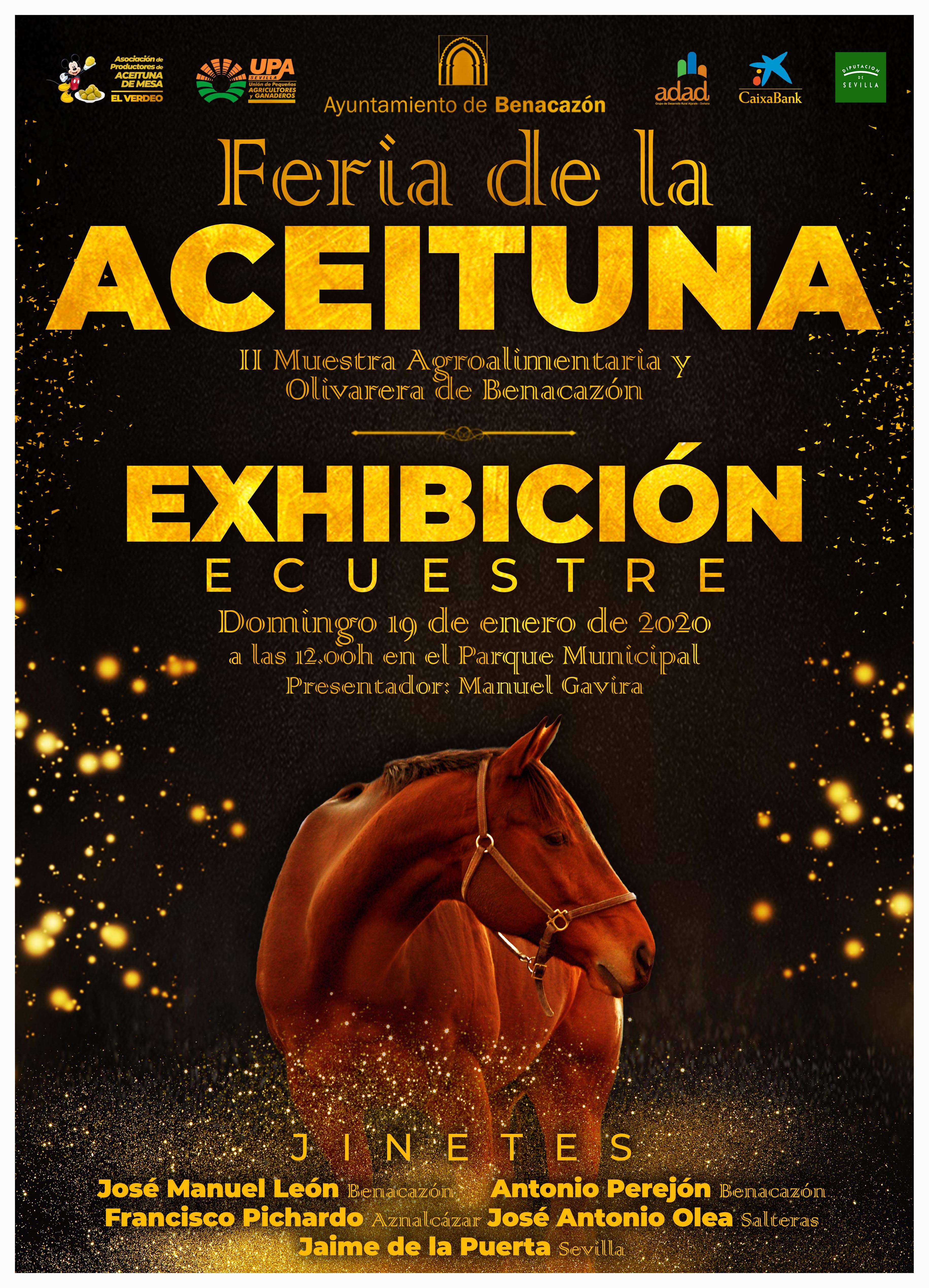 ADL_Feria Aceituna 2020-Caballos