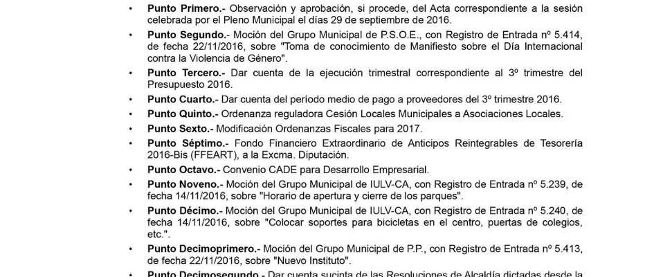 Alcaldxa_Bando_Pleno_30.11.2016.jpg