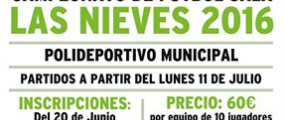 Deportes_Campeonato_Fxtbol-Sala_Las_Nieves2016.jpg