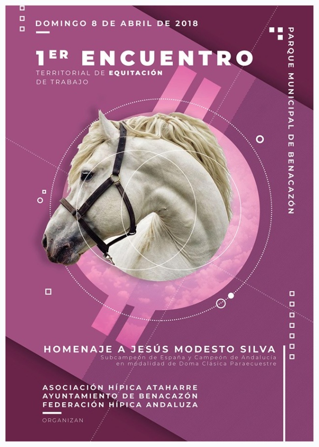 Deportes_Encuentro Equitación