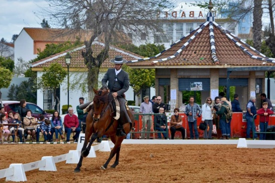 Deportes_Encuentro Territorial Ecuestre 5