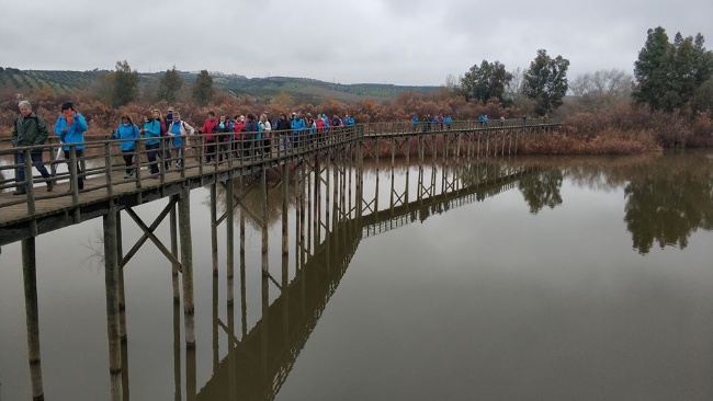 Deportes_Senderismo Feria Olivarera 2