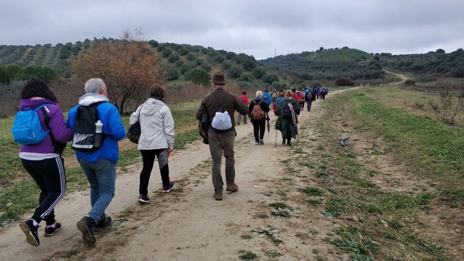 Deportes_Senderismo Feria Olivarera 3