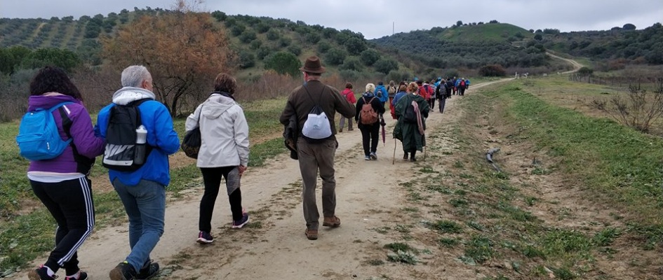 Deportes_Senderismo_Feria_Olivarera_3.jpg