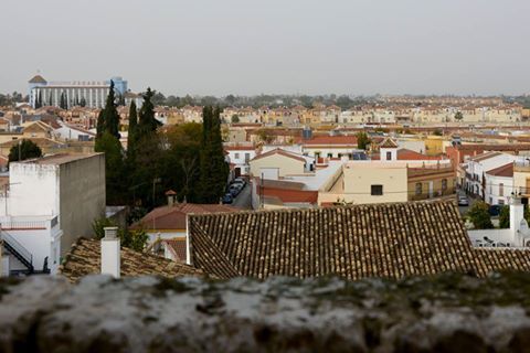 Economía_Inicio expedientes nuevo equipamiento