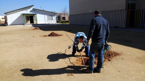 Educación_Árboles Talhara 1