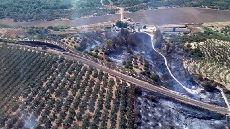 Medio Ambiente_Incendio forestal 1