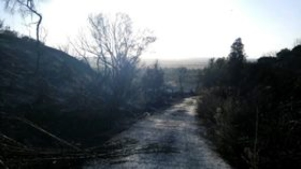 Medio Ambiente_Incendio forestal 3