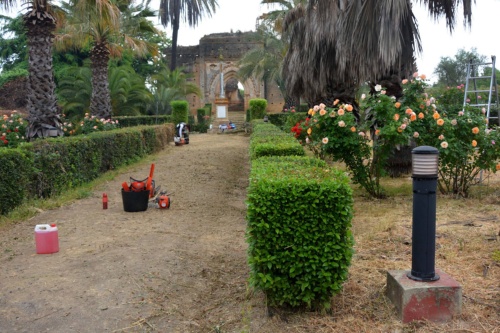 Medio Ambiente_Mejoras Talhara 1