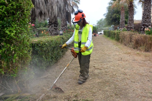 Medio Ambiente_Mejoras Talhara 2