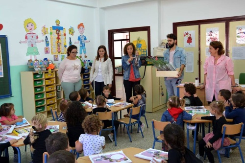 Medio Ambiente_arbolitos ToSantos cole 2017-3