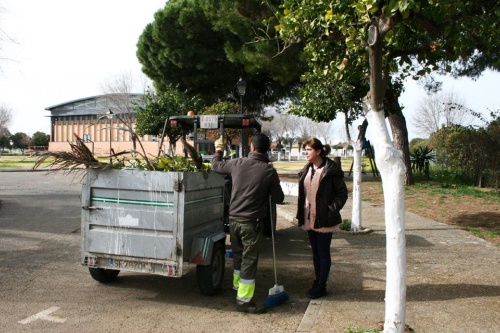 Medio Ambiente_poda y plantación árboles 1