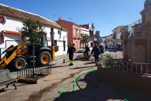 Medio Ambiente_poda y plantación árboles 2