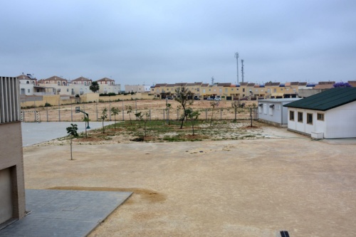 Obras_Ampliación CEIP Talhara-arbolado 2