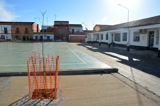 Obras_Plantación árboles CEIP2