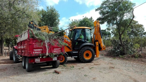 Servicios_Cuatro Caminos, mantenimiento 2