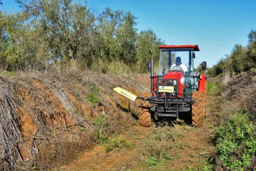 Servicios_Mantenimiento espacios verdes-2