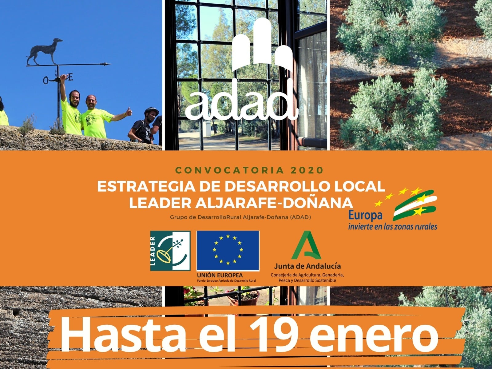 ADL_ADAD ampliación plazo