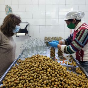 ADL_Visita Dentaljarafe y Aceitunas Plata 1