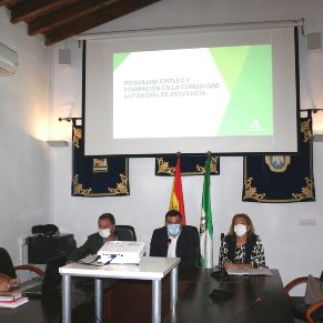 Alcalde-Delegado Gobierno