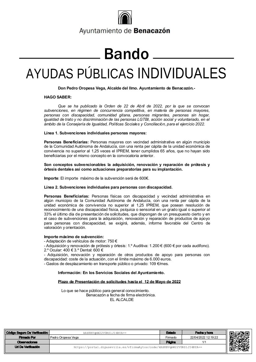 Bando_Ayudas Públicas Individuales