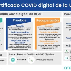 Certificado Covid o test negativo_ Comite¿ Expertos