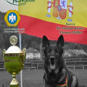 Deportes_Campeonato España Adiestramiento canino, 4y5dic2021