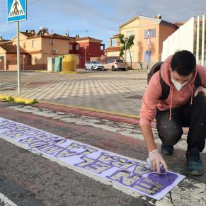 Educación_Paso peatones D.Violencia1