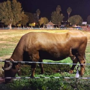 FB_IMG_1667122467330