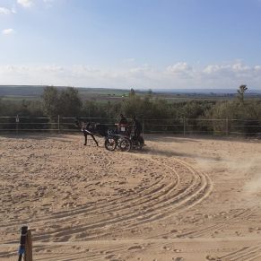 IMG-20220314-WA0055 ok