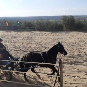 IMG-20220314-WA0058 ok