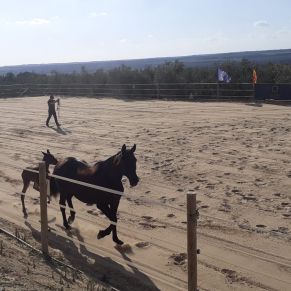 IMG-20220314-WA0060 ok