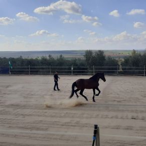 IMG-20220314-WA0061 ok