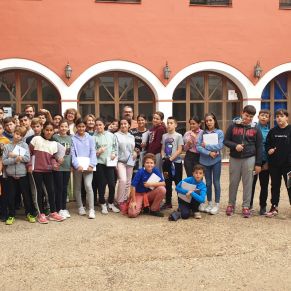 IMG-20221117-WA0006 ok