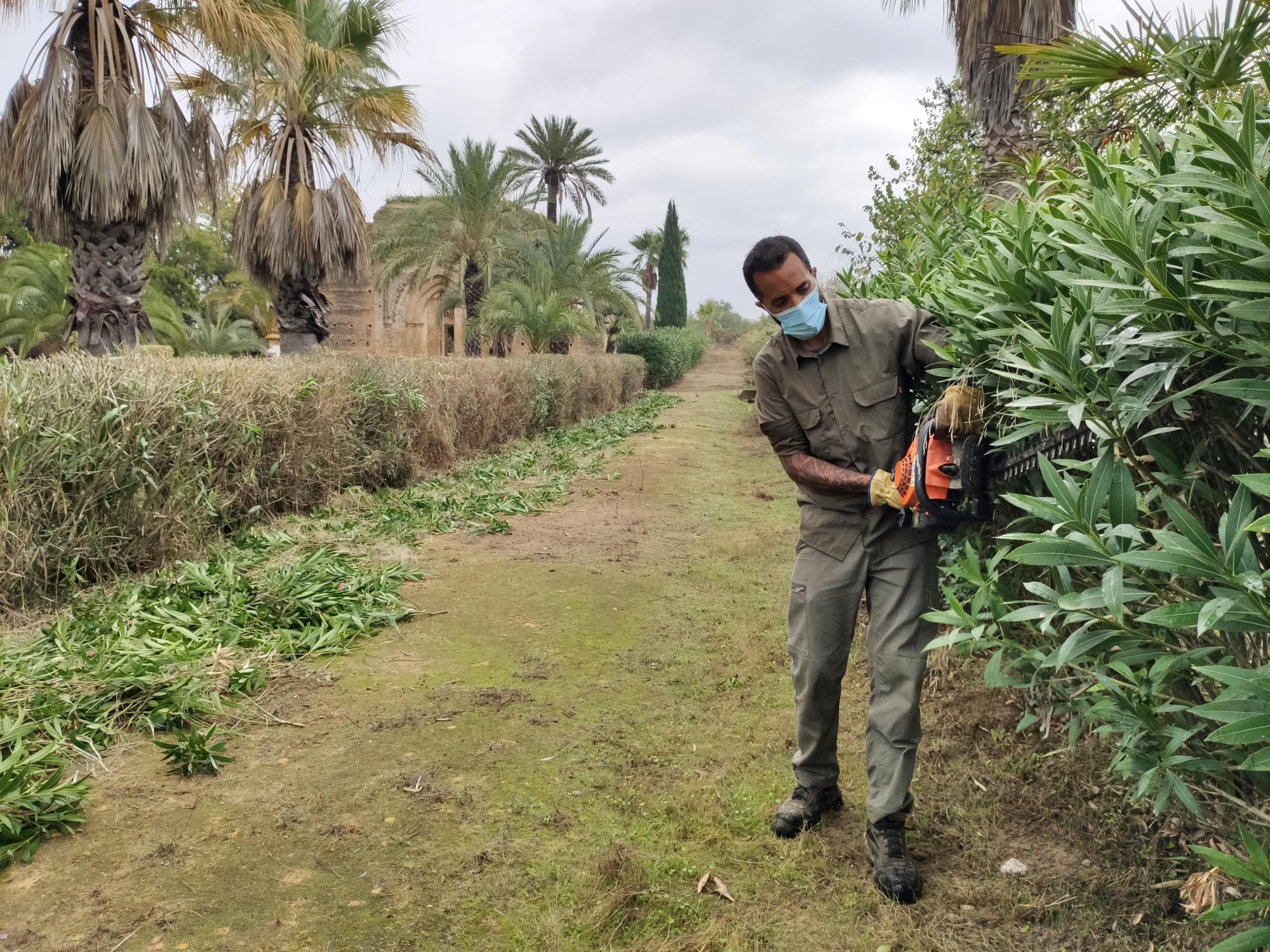 Obras y Servicios_Talhara 2