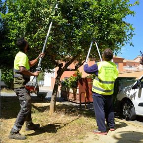 Obras y Servicios_Zonas verdes 2