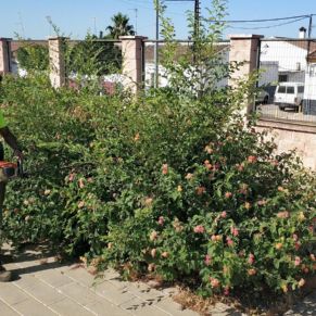 Obras_Mejora parques4