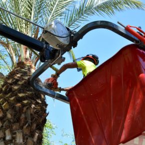 Obras_Mejora parques5