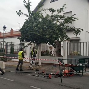 Obras_Mejoras calles-espacios naturales 3