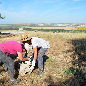 Obras_Mirador mejoras 3