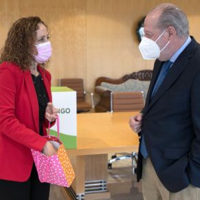 Obsequio Diputación pandemia1