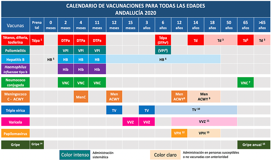 Salud_Calendario Vacunaciones