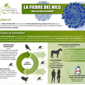 Salud_Fiebre Nilo1