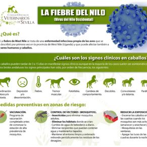 Salud_Fiebre Nilo2