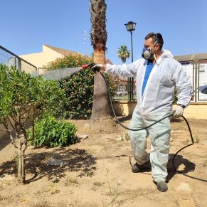 Salud_Mosquito virus Nilo2