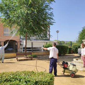 Salud_Mosquito virus Nilo3