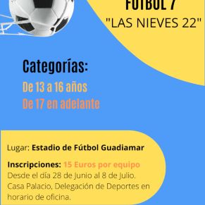 cartel Campeonato Fútbol 7
